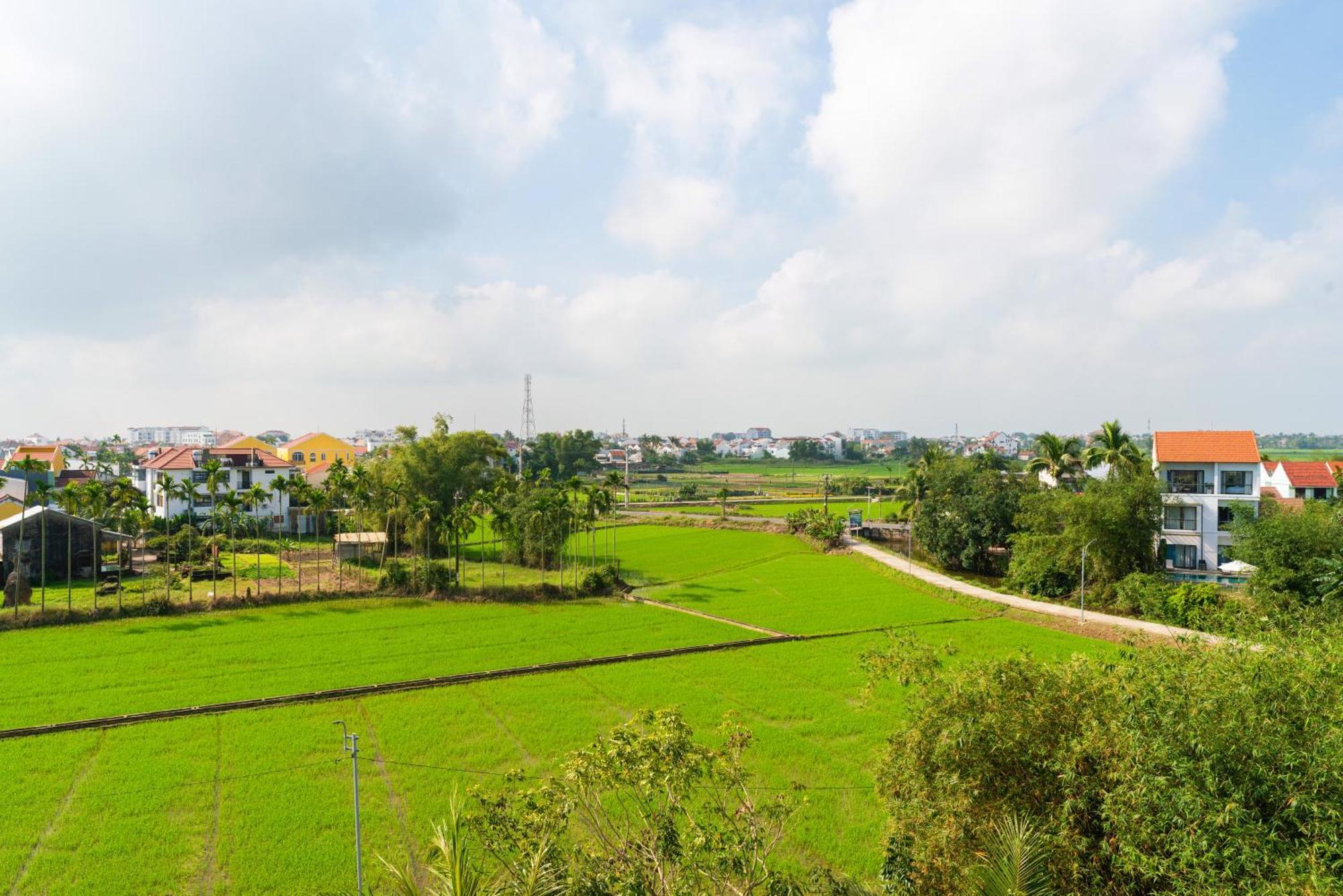 Hoi An Pinus Boutique Hotel Tan Thanh Exterior photo