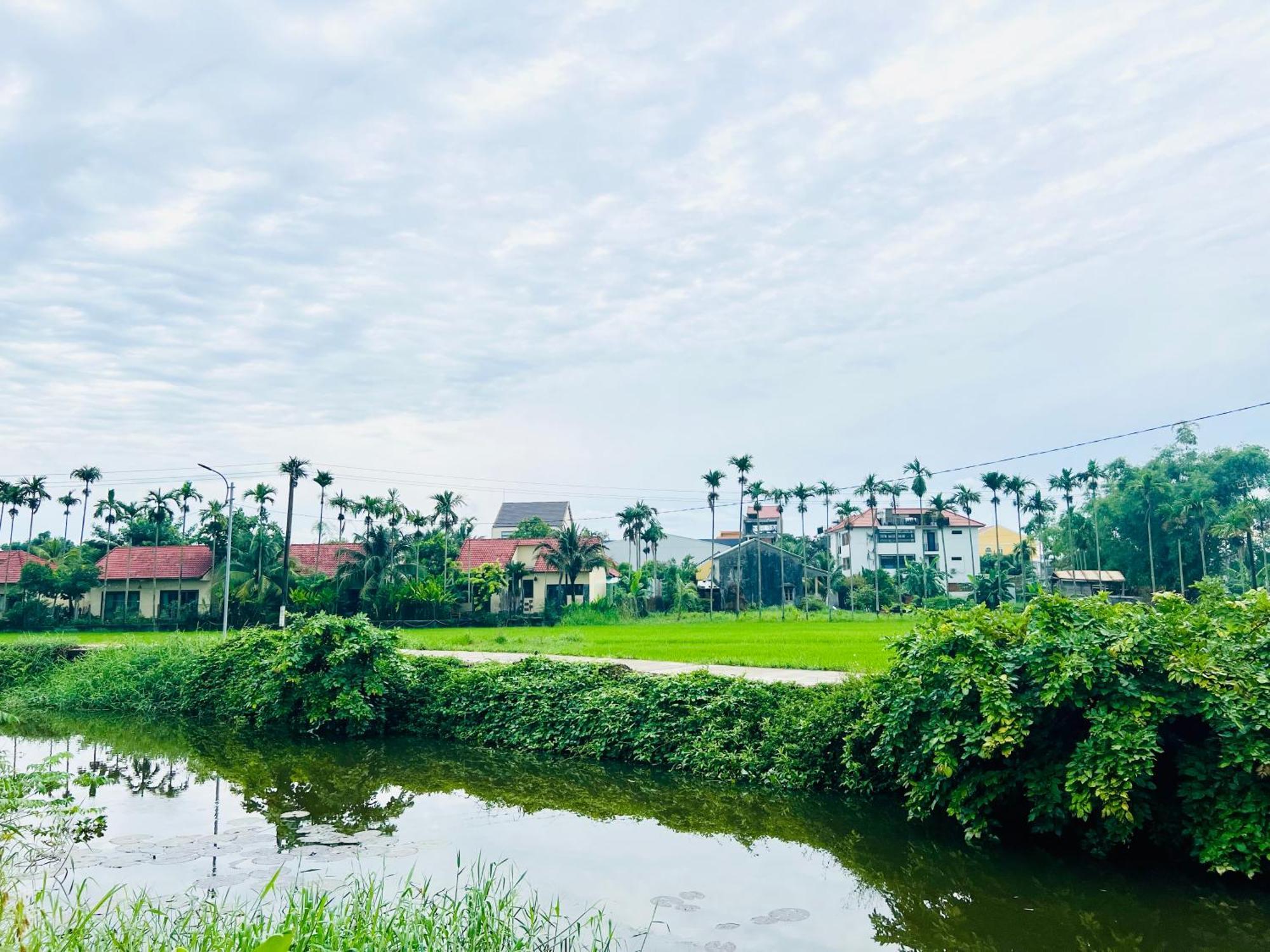 Hoi An Pinus Boutique Hotel Tan Thanh Exterior photo